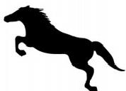 Picture of Rider Glass